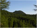 Planina Ravne - Kocbekov dom na Korošici